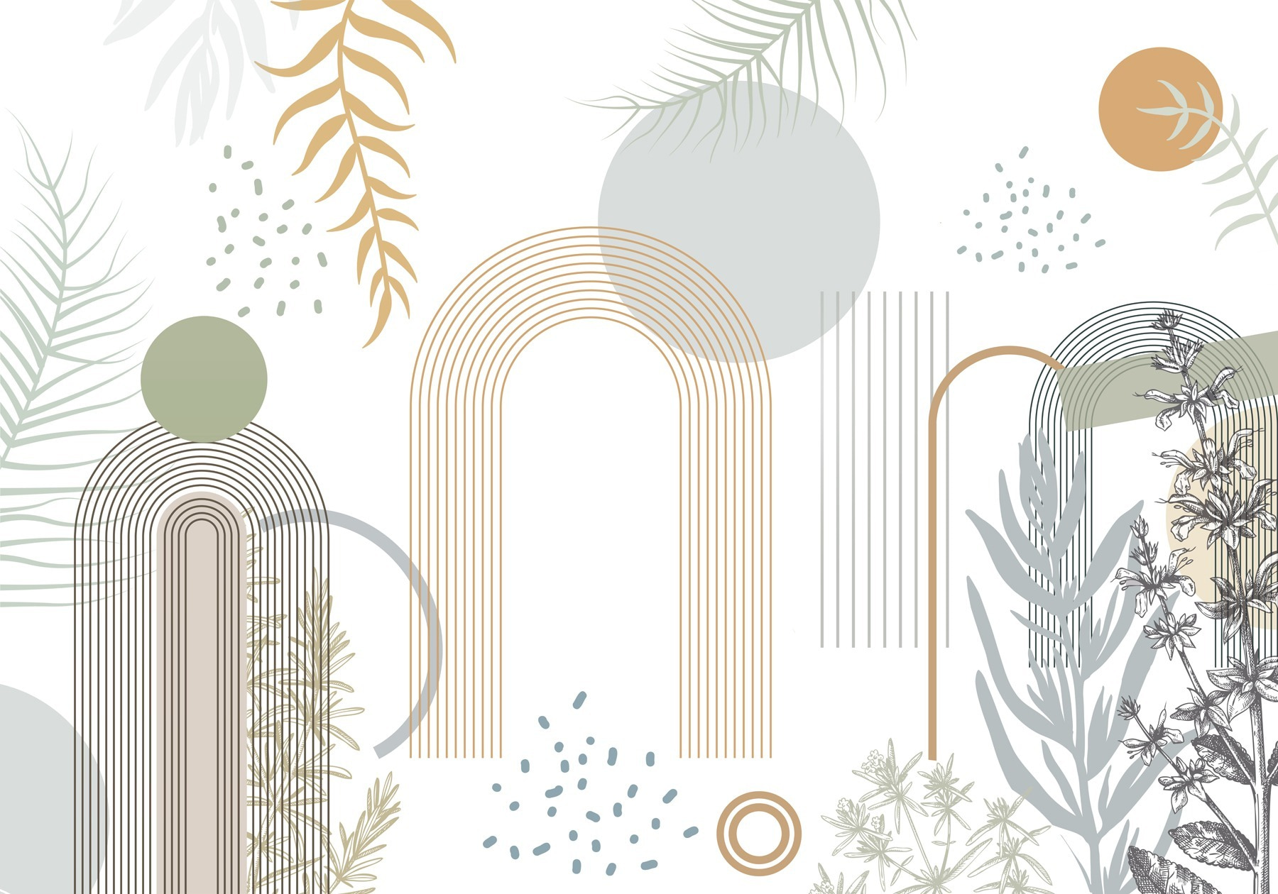 Graphic design of plants and leaves Graphic design of plants and leaves