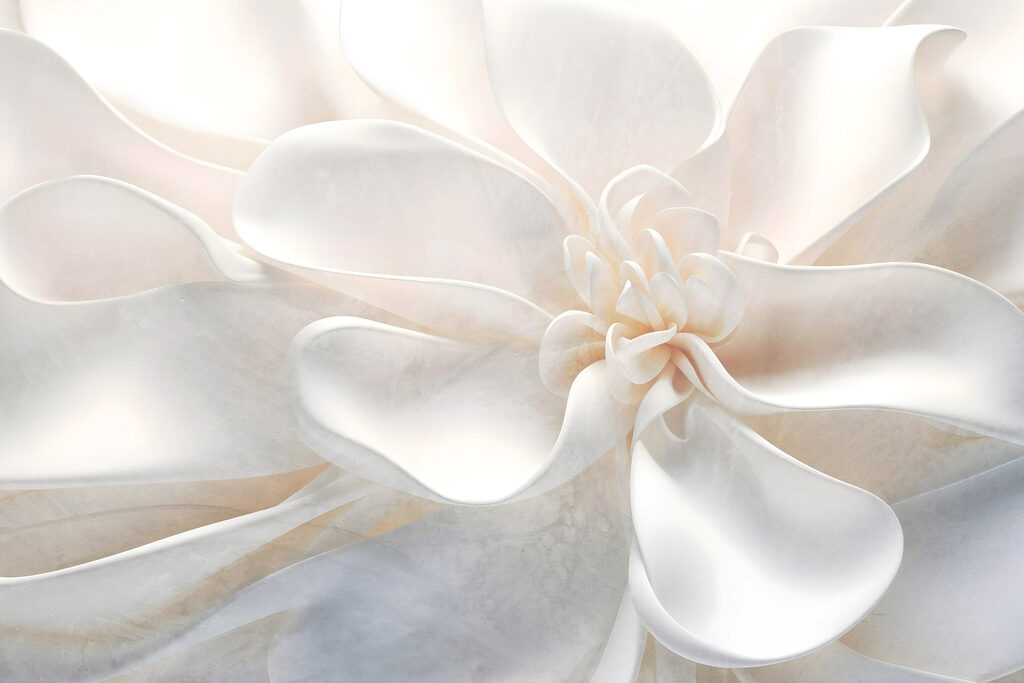 Delicate layers of floral beauty