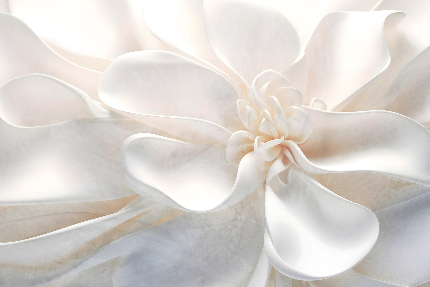 Delicate layers of floral beauty