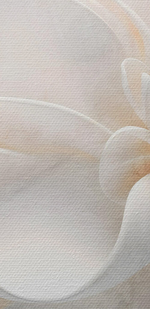 Delicate layers of floral beauty