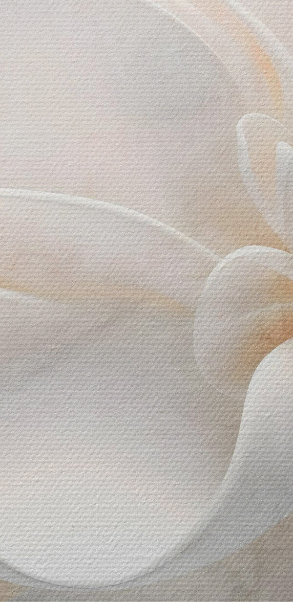 Delicate layers of floral beauty