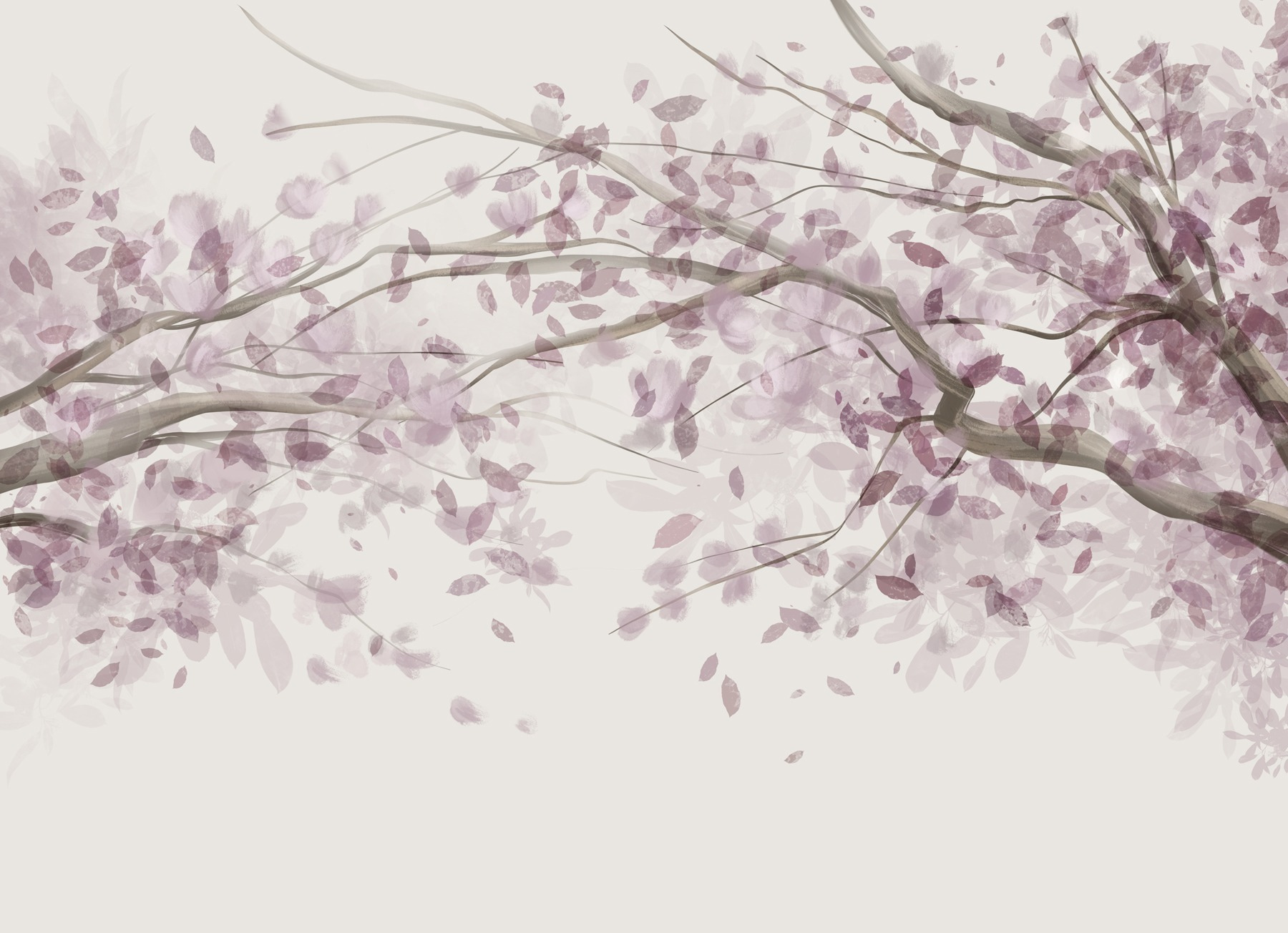 Tree with purple leaves