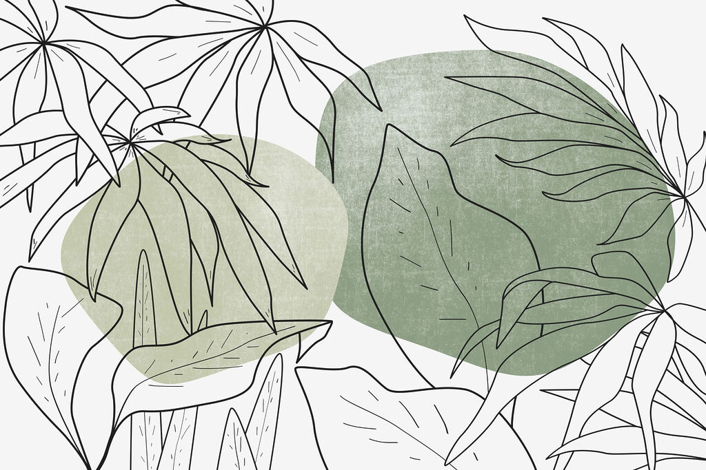 Disegno di foglie e piante Disegno di foglie e piante