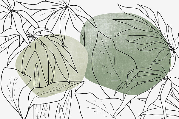Disegno di foglie e piante Disegno di foglie e piante