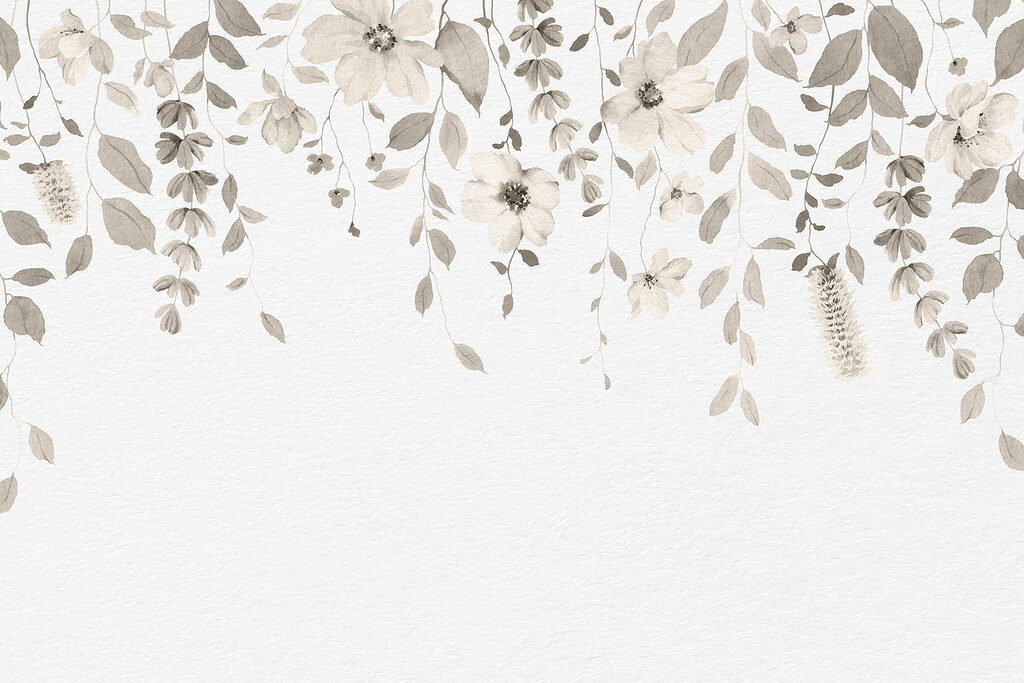 Morbido disegno botanico su sfondo bianco Morbido disegno botanico su sfondo bianco