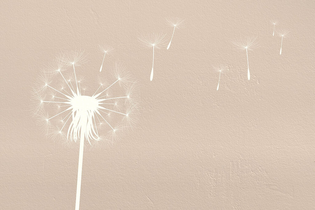 Dandelion seeds flying in the air