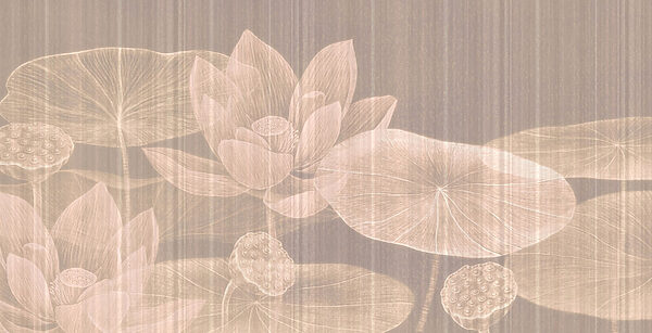 Delicate fioriture su acque tranquille Delicate fioriture su acque tranquille