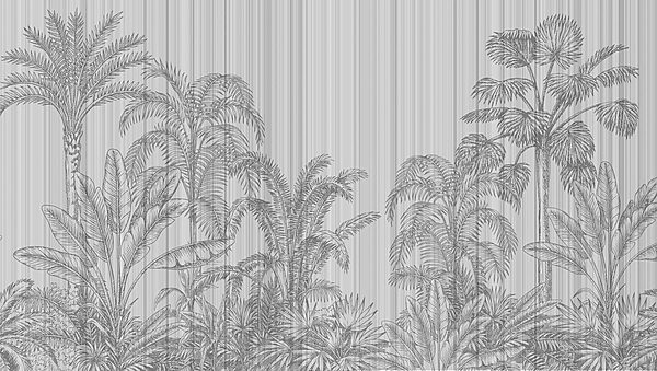 Sfondo grigio e bianco con palme Sfondo grigio e bianco con palme