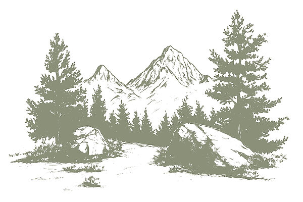 Drawing of trees and mountains