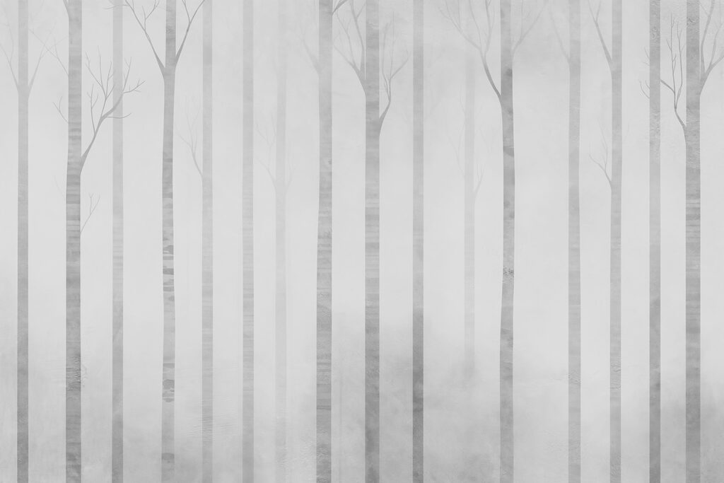 Gruppo di alberi nella nebbia Gruppo di alberi nella nebbia