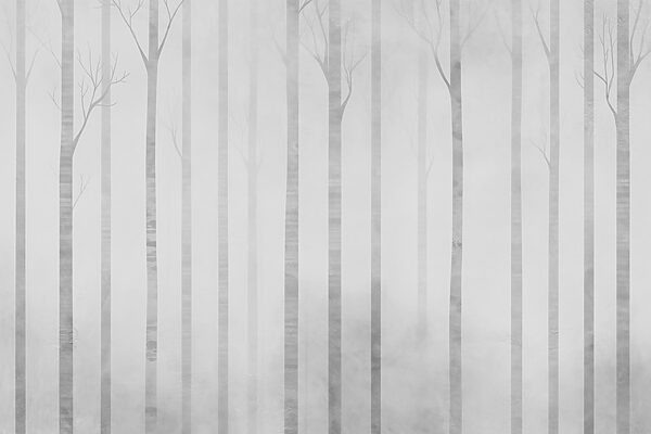 Gruppo di alberi nella nebbia Gruppo di alberi nella nebbia