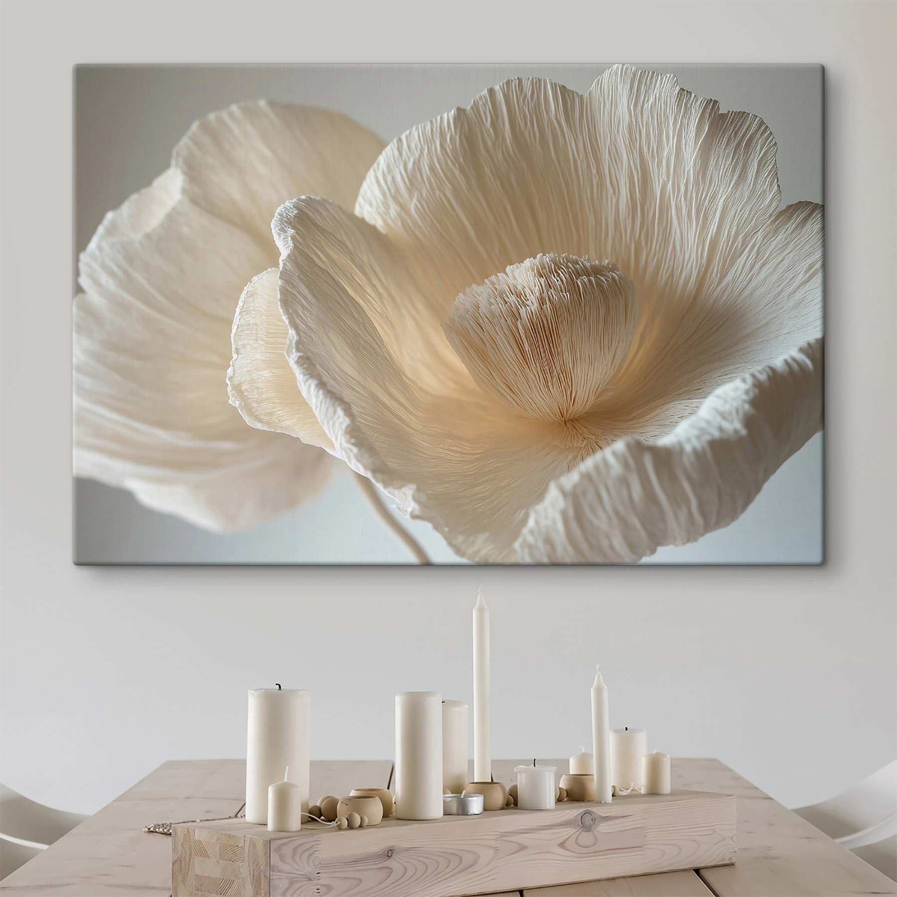 Delicate textured flower petals displayed