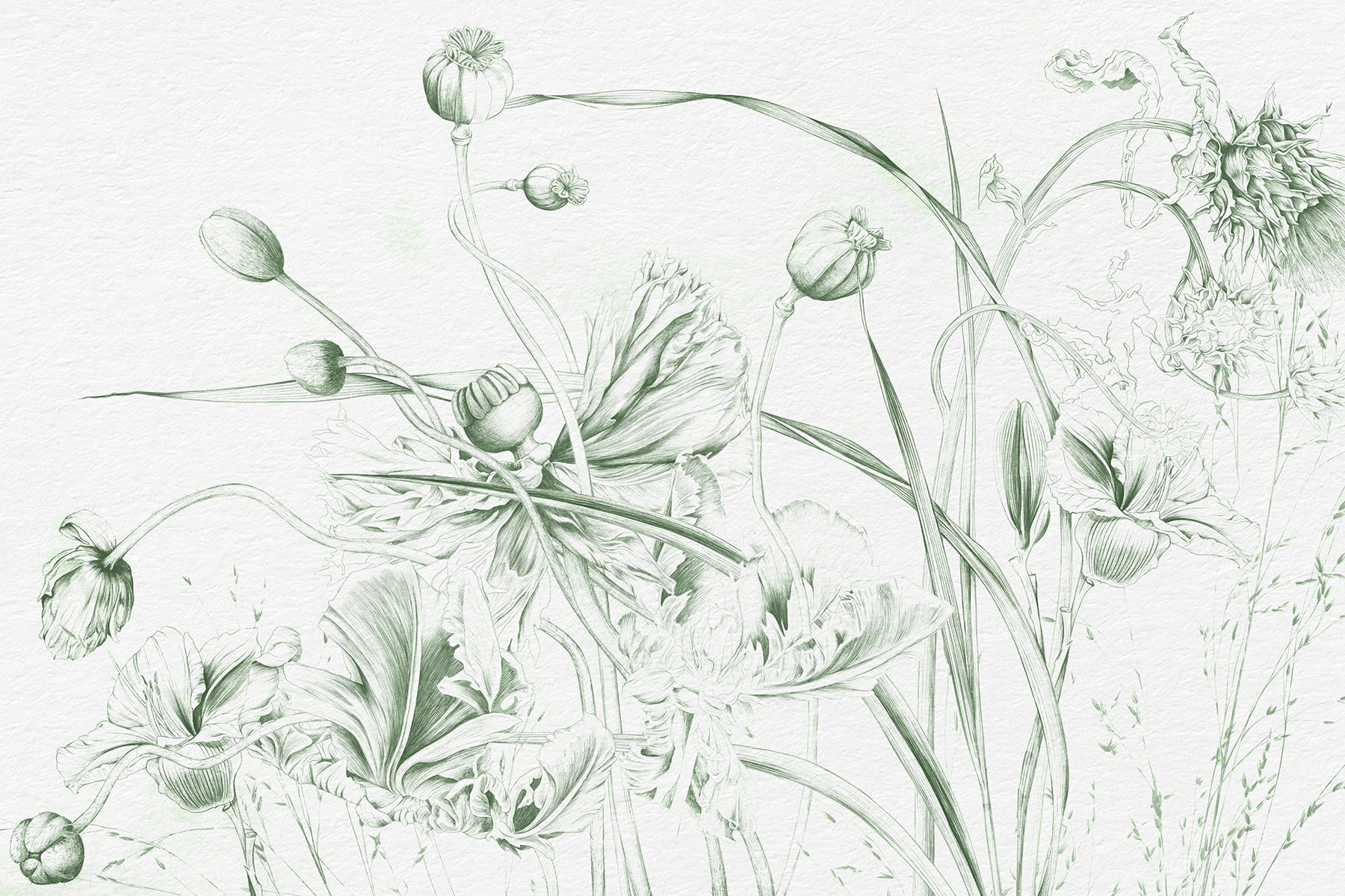 Drawing of flowers and leaves