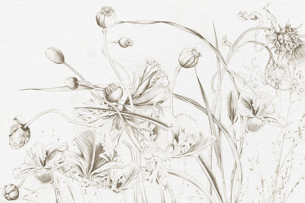 Disegno di fiori e foglie Disegno di fiori e foglie