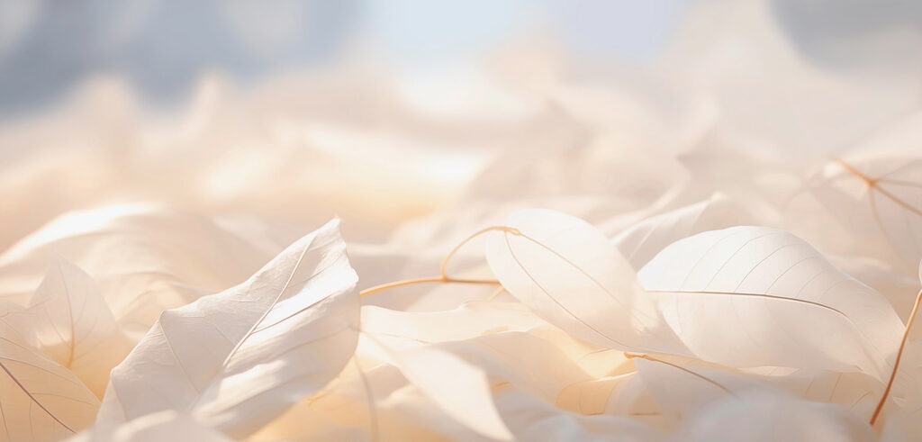Wall murals Whispers of nature in soft hues Wall murals Whispers of nature in soft hues