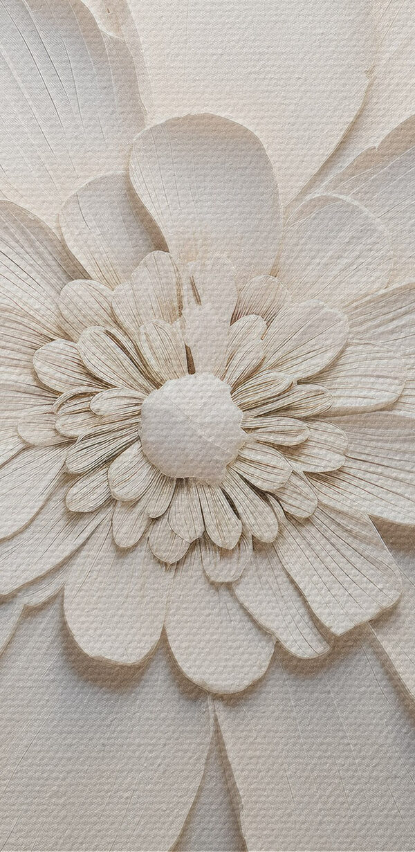 White flower with many petals
