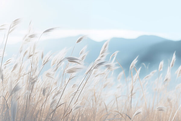 Gentle breezes through tall grass Gentle breezes through tall grass