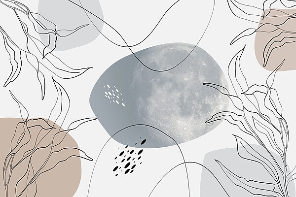 Luna e piante su sfondo bianco Luna e piante su sfondo bianco