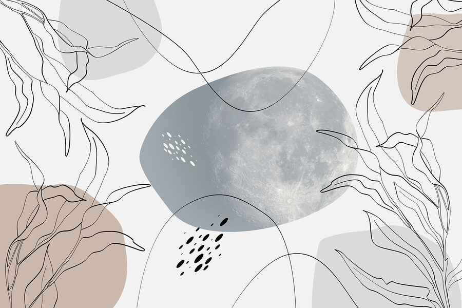 Luna e piante su sfondo bianco