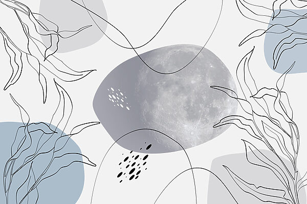 Luna e piante su sfondo bianco Luna e piante su sfondo bianco