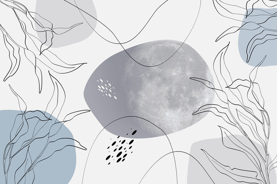 Luna e piante su sfondo bianco
