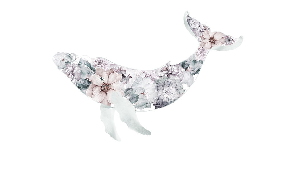 Balena con fiori