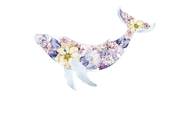 Balena con fiori Balena con fiori