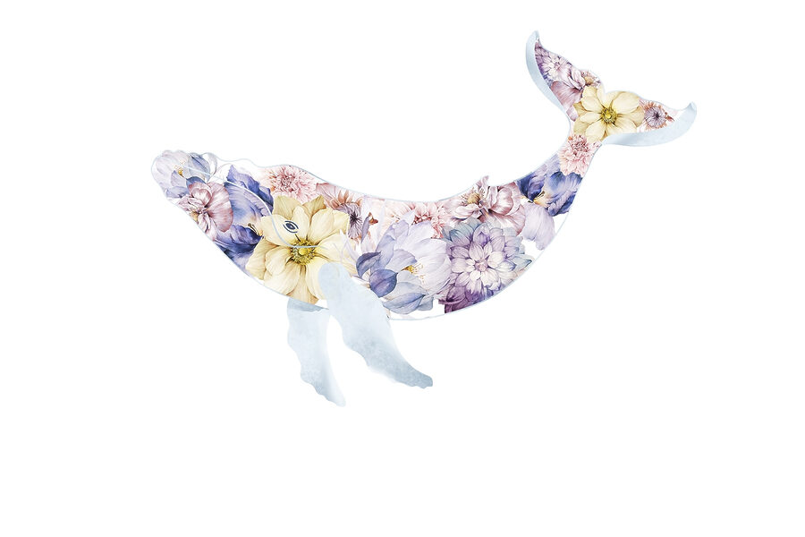 Balena con fiori Balena con fiori