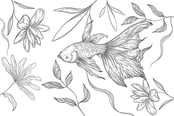 Disegno in bianco e nero di un pesce e di piante Disegno in bianco e nero di un pesce e di piante