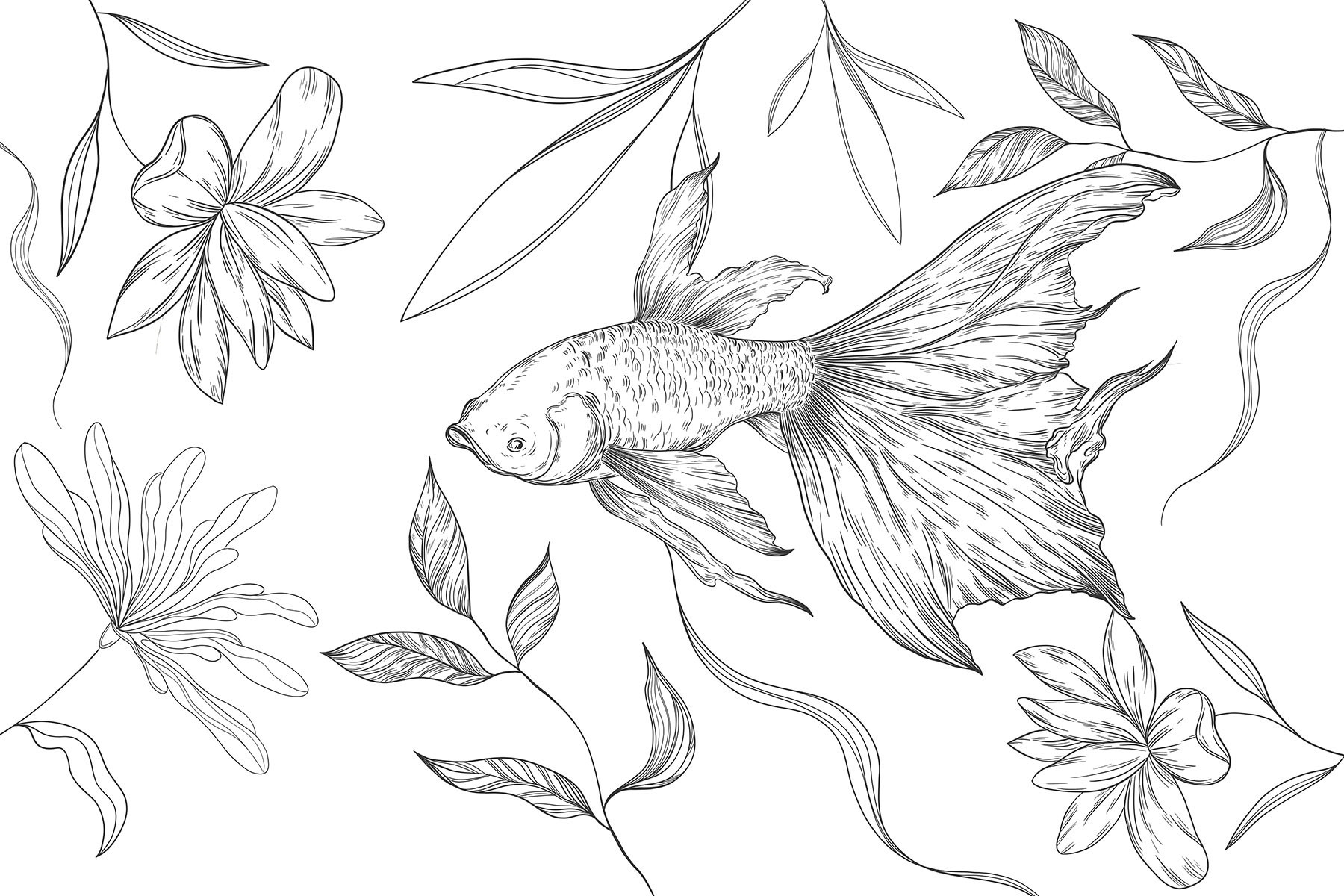 Black and white drawing of a fish and plants