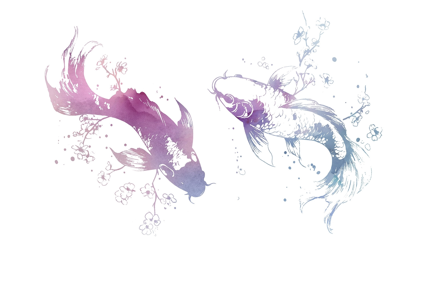 Two fish with watercolor splashes Two fish with watercolor splashes