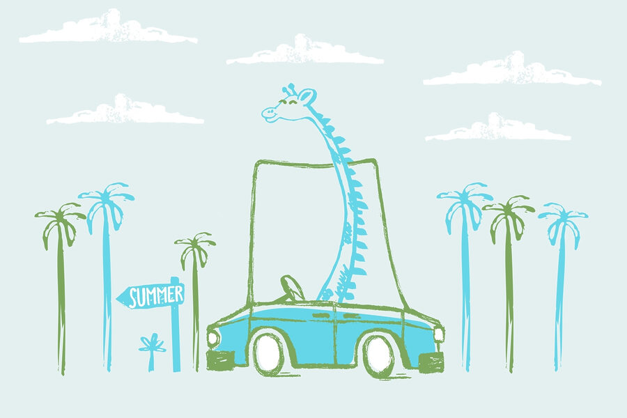 Giraffa in auto