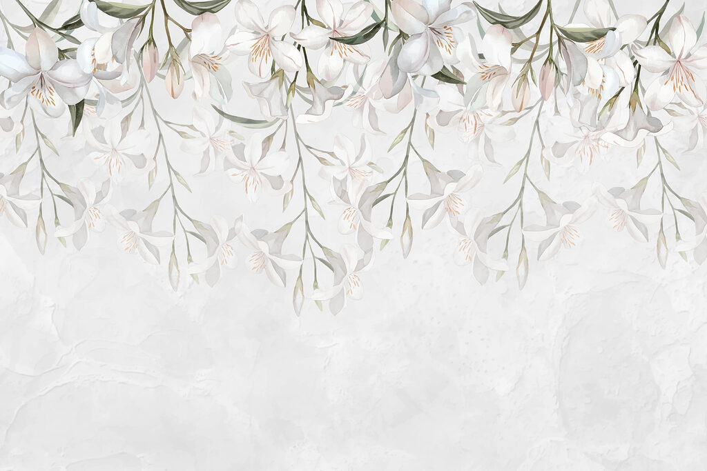 Fiori bianchi su sfondo bianco Fiori bianchi su sfondo bianco