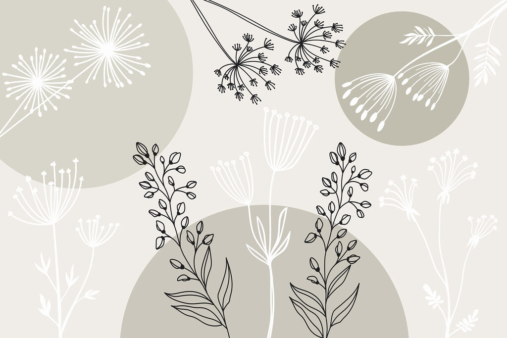 Disegno di fiori e piante Disegno di fiori e piante