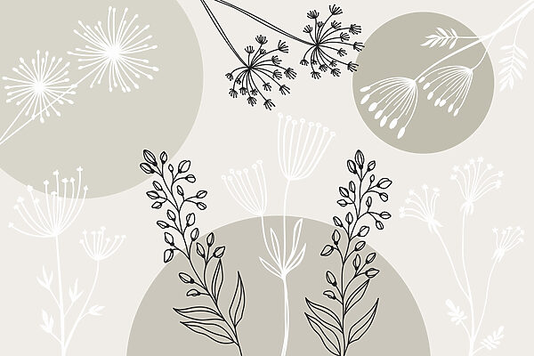 Disegno di fiori e piante Disegno di fiori e piante