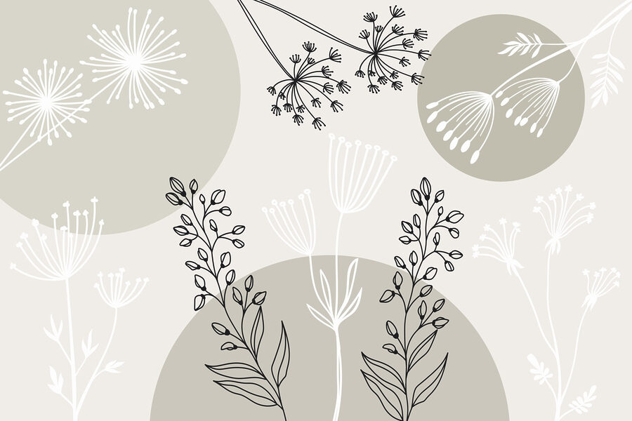 Disegno di fiori e piante Disegno di fiori e piante