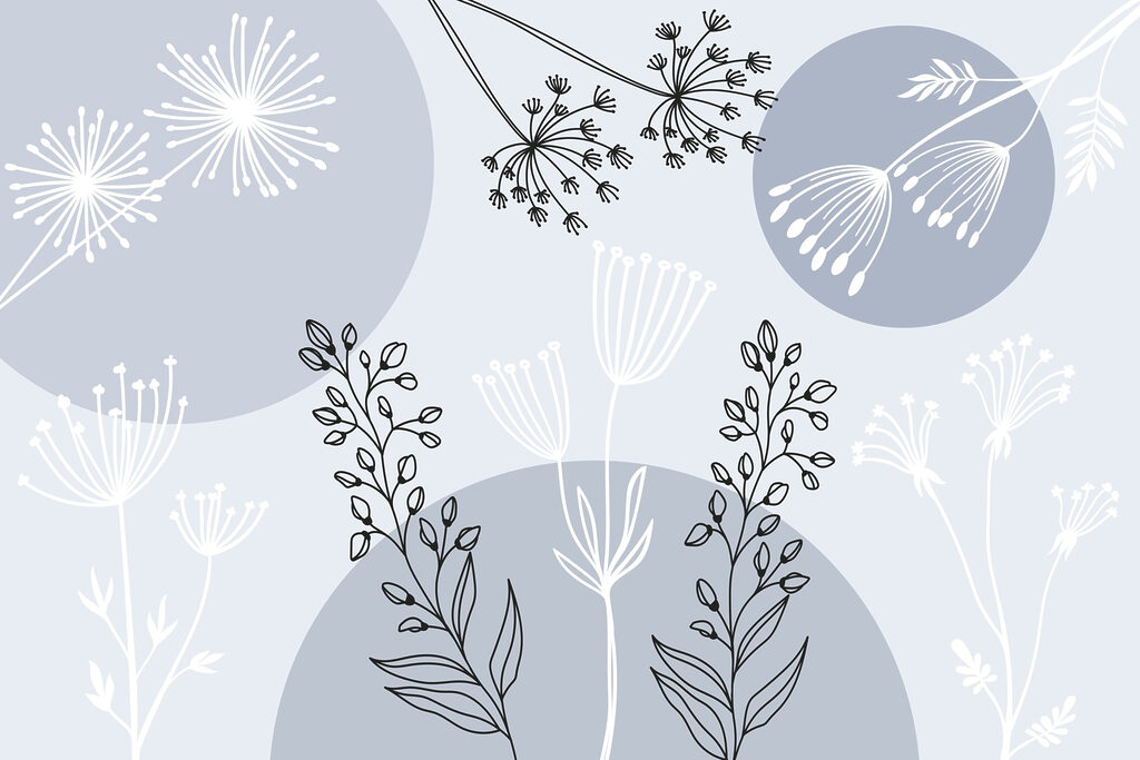 Drawing of flowers and plants