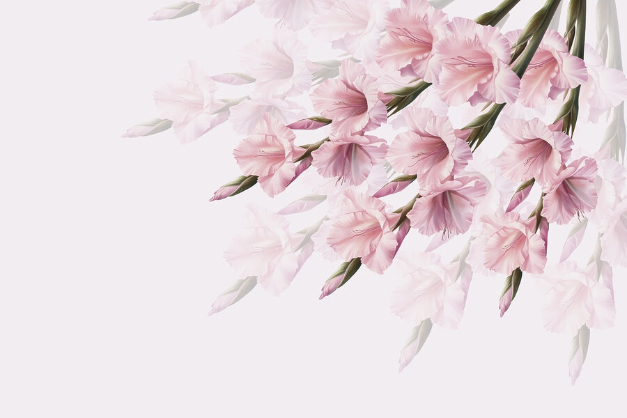 Gruppo di fiori rosa