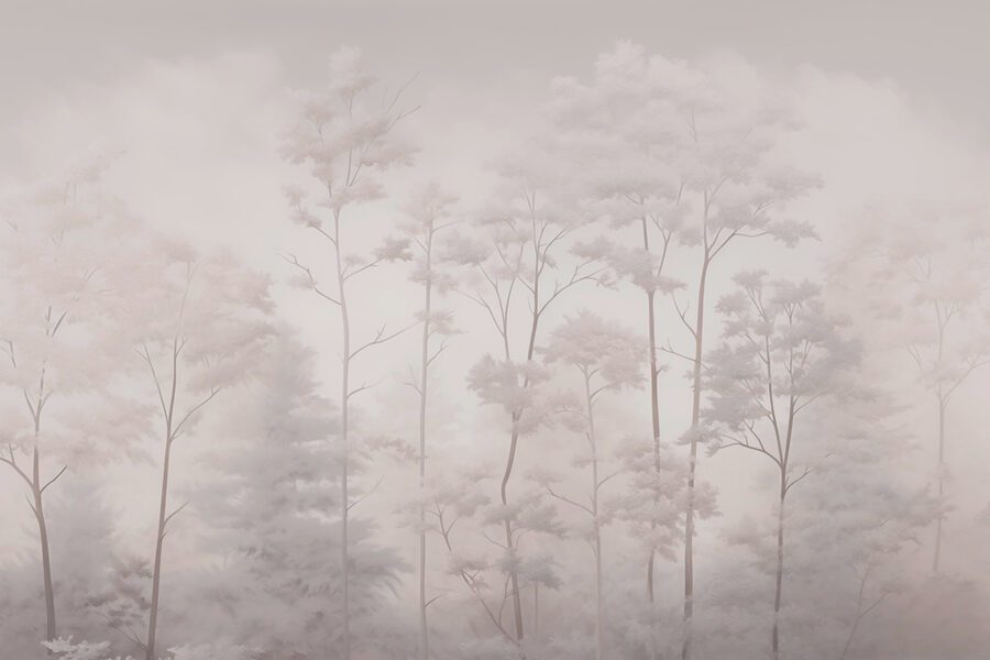 Gruppo di alberi con nebbia