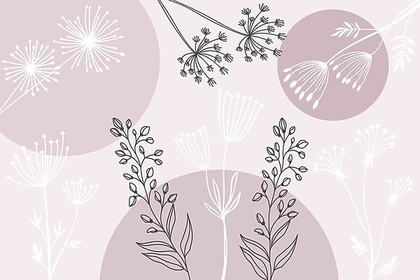 Disegno di fiori e piante Disegno di fiori e piante