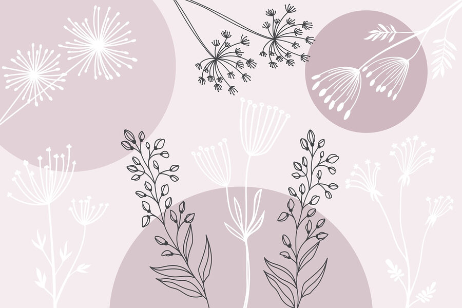 Disegno di fiori e piante Disegno di fiori e piante
