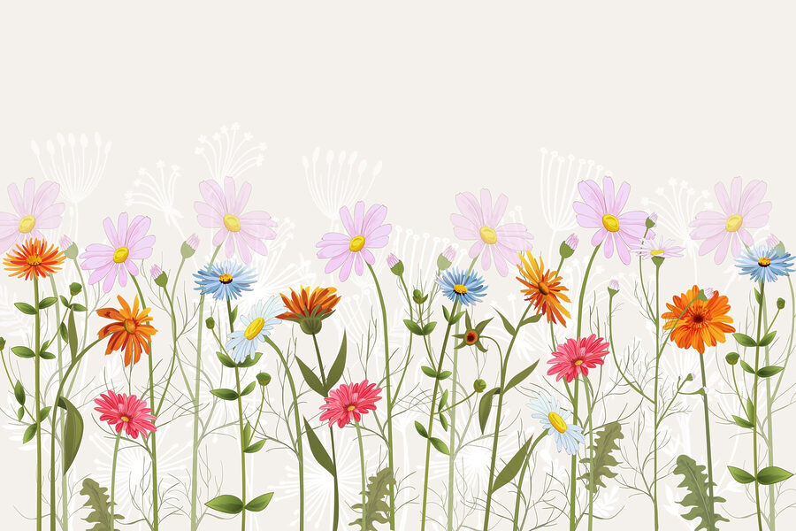 Fila di fiori colorati