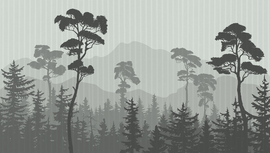Foresta con montagne e alberi Foresta con montagne e alberi