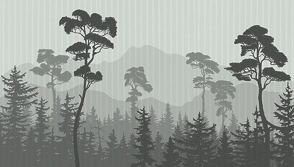 Foresta con montagne e alberi Foresta con montagne e alberi