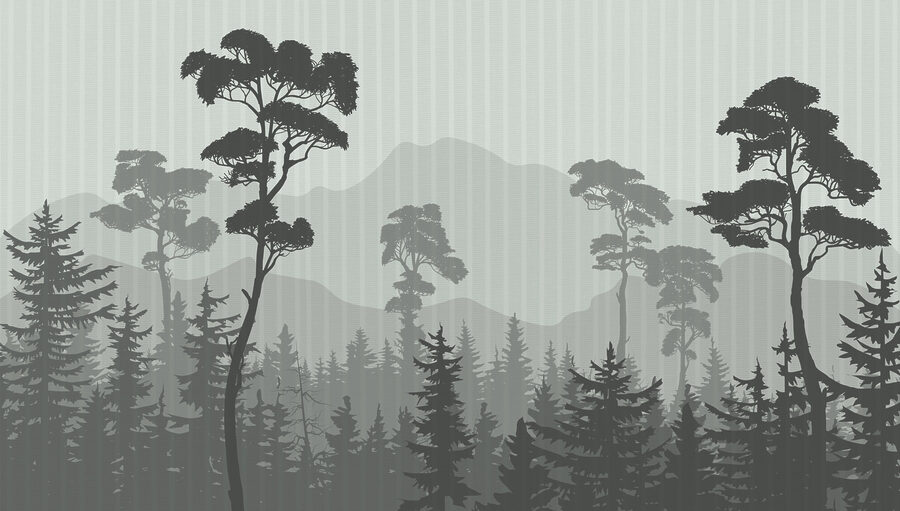 Foresta con montagne e alberi