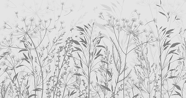 Delicate silhouette della bellezza della natura’. Delicate silhouette della bellezza della natura’.