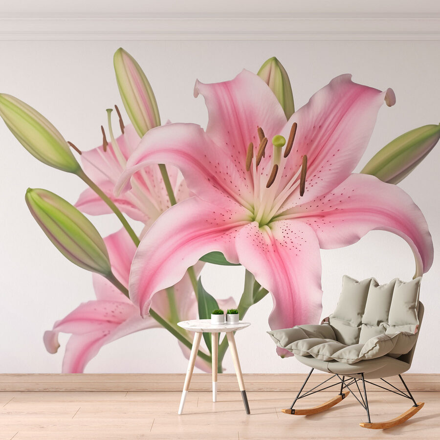 Giglio rosa con boccioli
