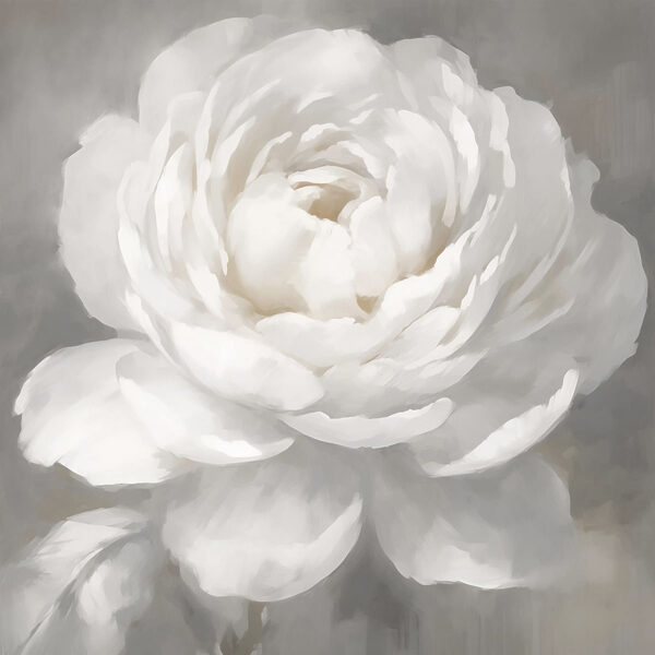 Fiore bianco con foglie Fiore bianco con foglie