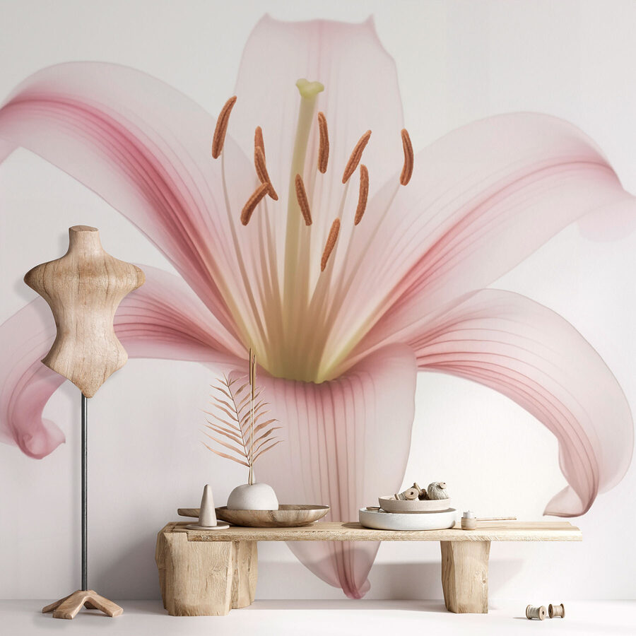 Petali delicati, morbidi e sereni