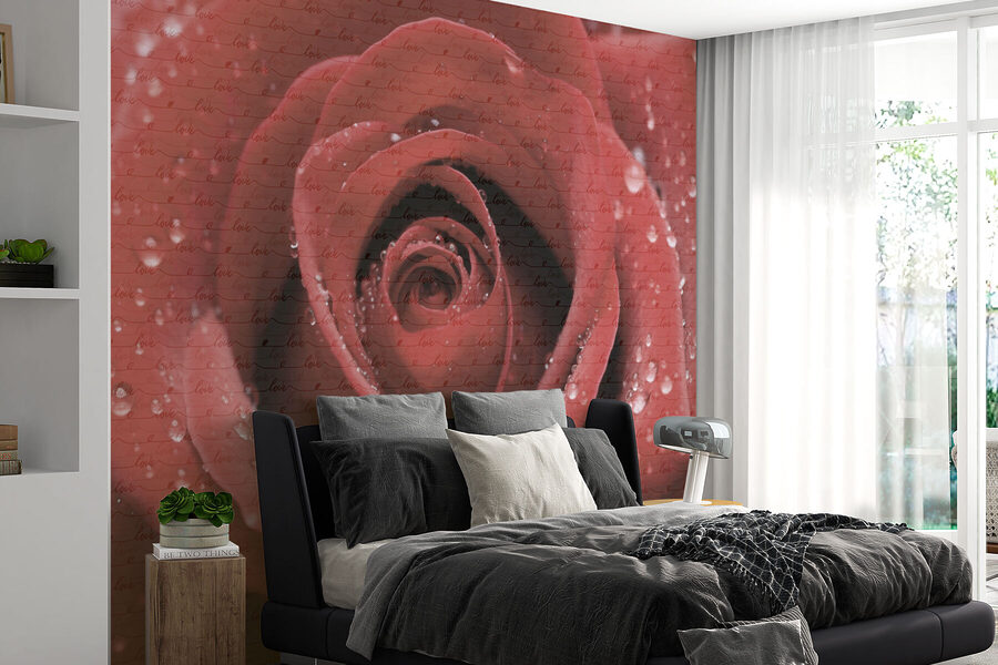 Delicati petali ornati di goccioline